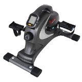 Sunny Health & Fitness SF-B0418 Magnetic Mini Exercise Bike, Gray